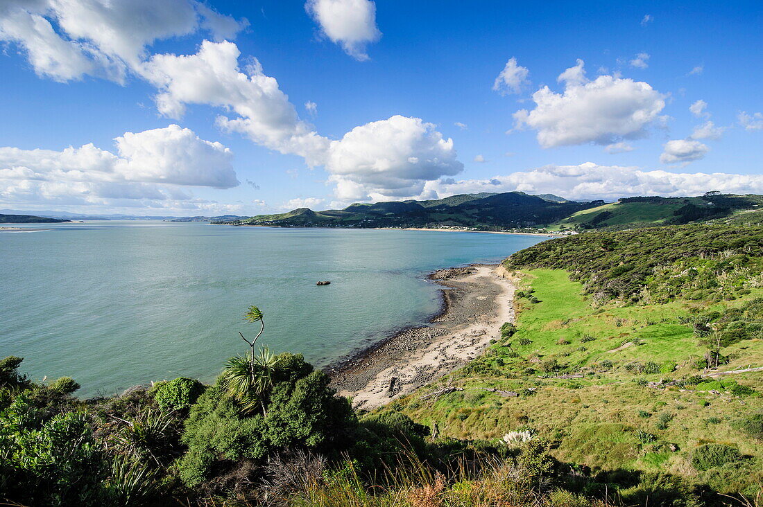 View of the Arai-Te-Uru Recreation Reserve, south end of Hokianga harbour, Northland, North Island, New Zealand, Pacific