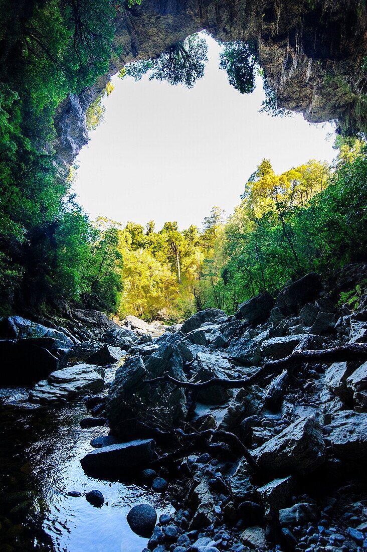 Oparara arch in the Oparara Basin, Karamea, West Coast, South Island, New Zealand, Pacific