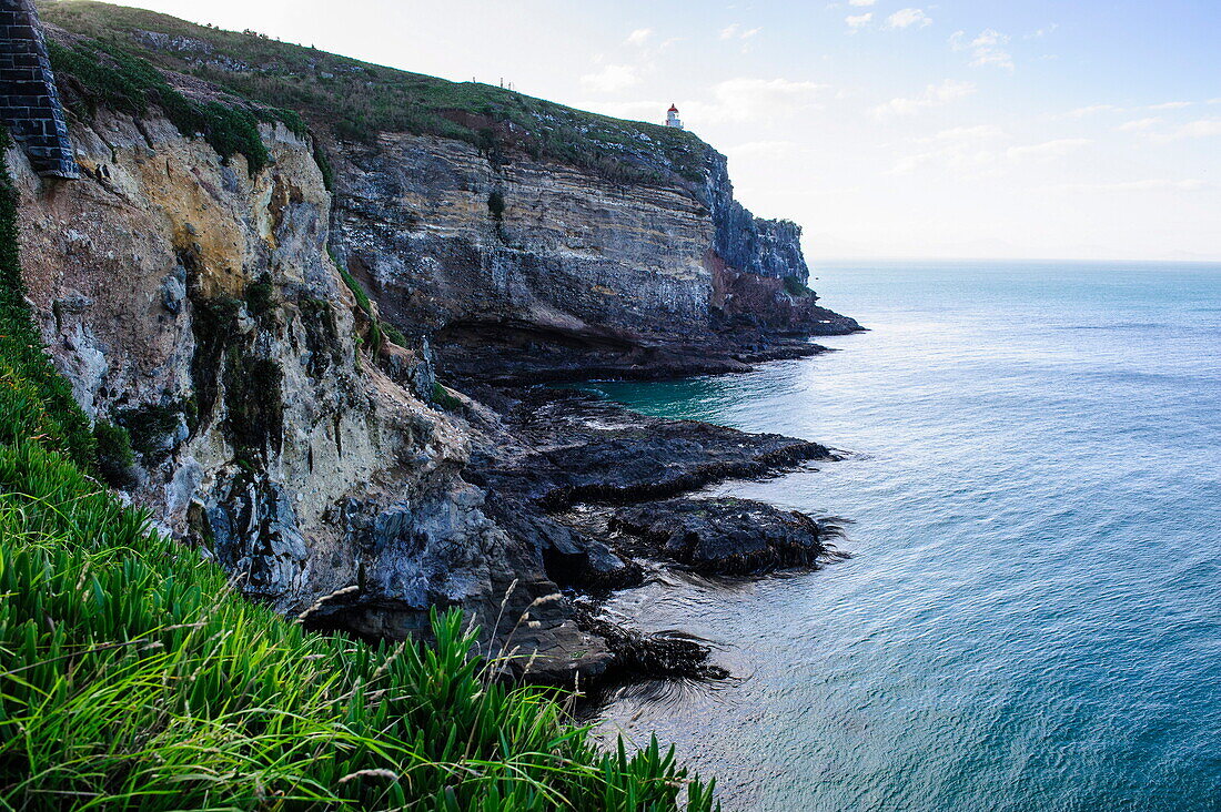 Steep cliffs at Taiaroa Head, Otago Peninsula, South Island, New Zealand, Pacific