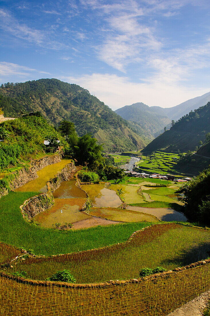 Along the rice terraces from Bontoc to Banaue, Luzon, Philippines, Southeast Asia, Asia