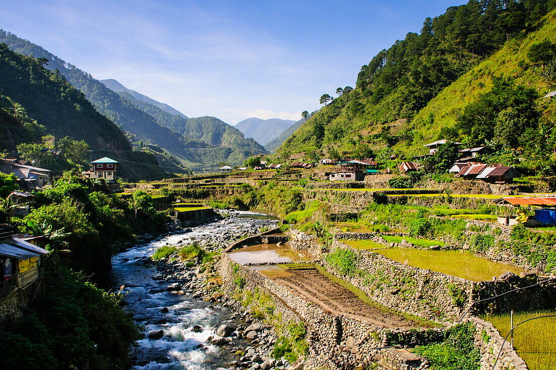 Along the rice terraces from Bontoc to Banaue, Luzon, Philippines, Southeast Asia, Asia