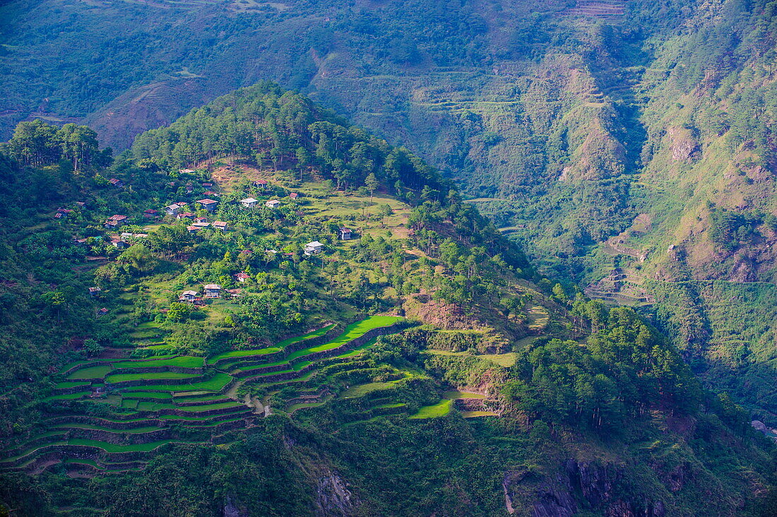 View from Kiltepan tower over the rice terraces, Sagada, Luzon, Philippines, Southeast Asia, Asia