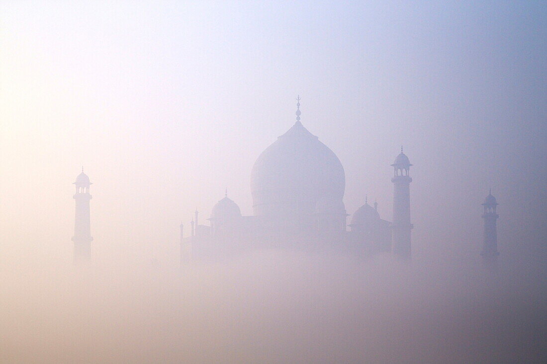 Taj Mahal at dawn, UNESCO World Heritage Site, Agra, Uttar Pradesh, India, Asia