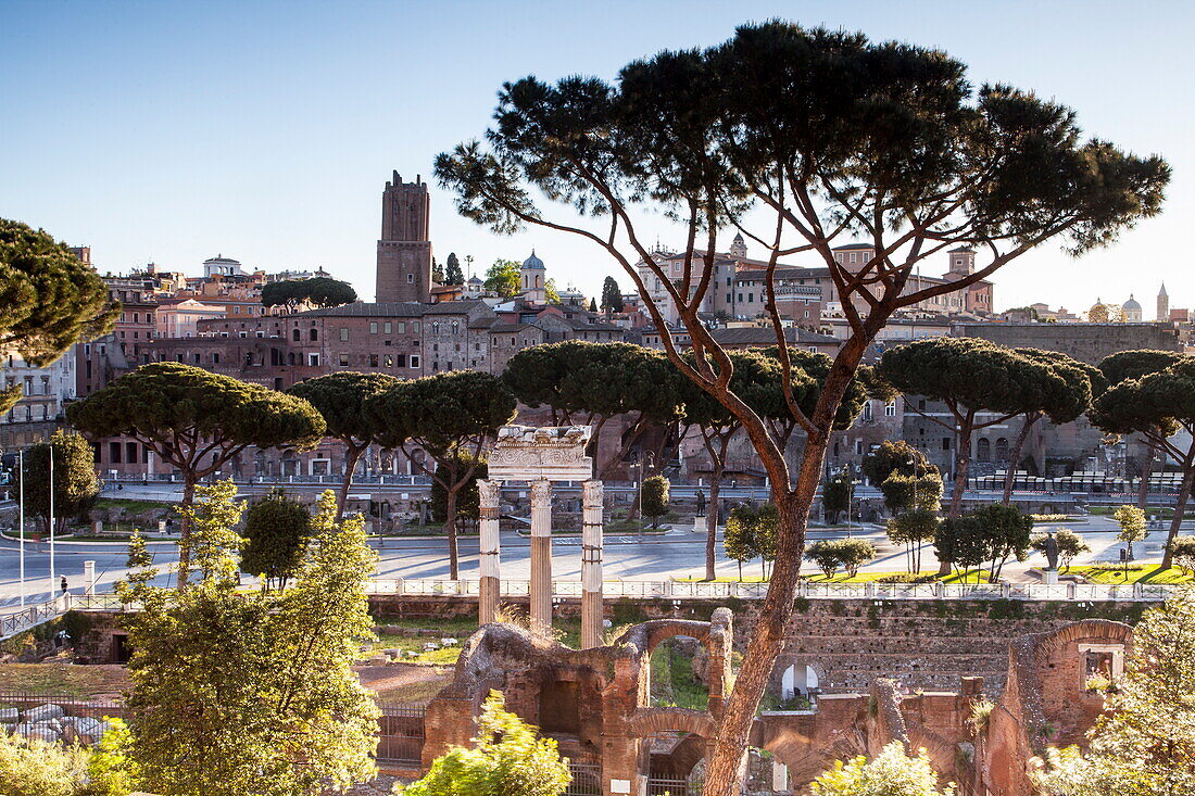 Part of the Imperial Forum (Foro Imperiali), Rome, Lazio, Italy, Europe