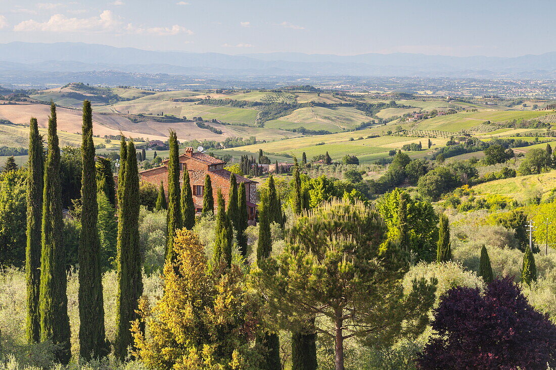 Scenery near to Montepulciano, Val d'Orcia, UNESCO World Heritage Site, Tuscany, Italy, Europe