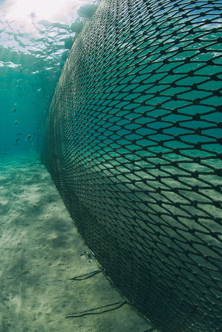 Shark net set in shallow water, Naama Bay, Ras Mohammed National Park, Sharm El Sheikh, Red Sea, Egypt, North Africa, Africa