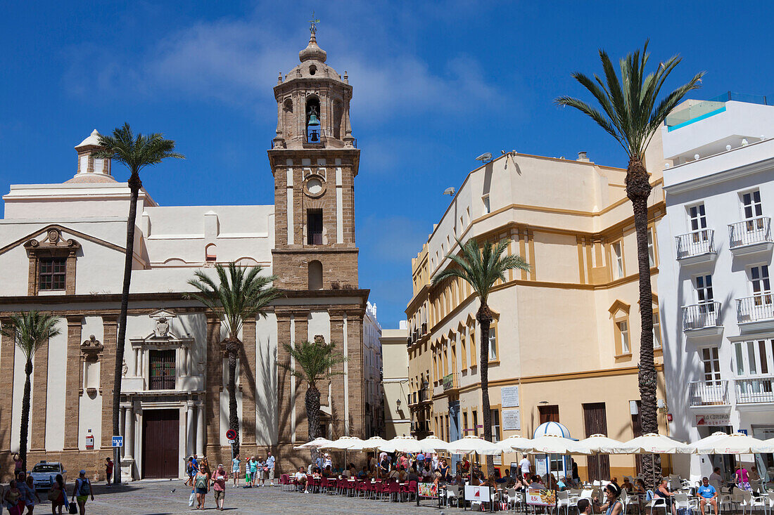 Plaza de la Catedral, Platz vor der Kathedrale in der Altstadt von Cádiz, Costa de la Luz, Provinz Cádiz, Andalusien, Spanien, Europa