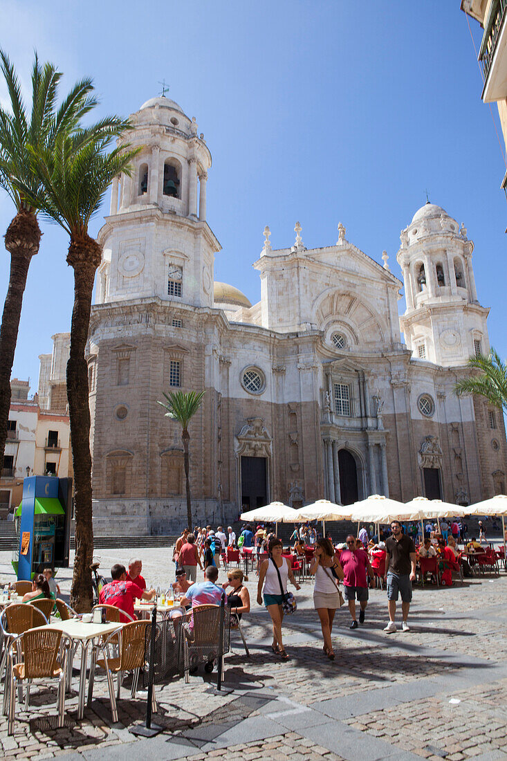 Plaza de la Catedral, square with Cathedral in the historical town of Cadiz, Cadiz Province, Andalusia, Spain, Europe