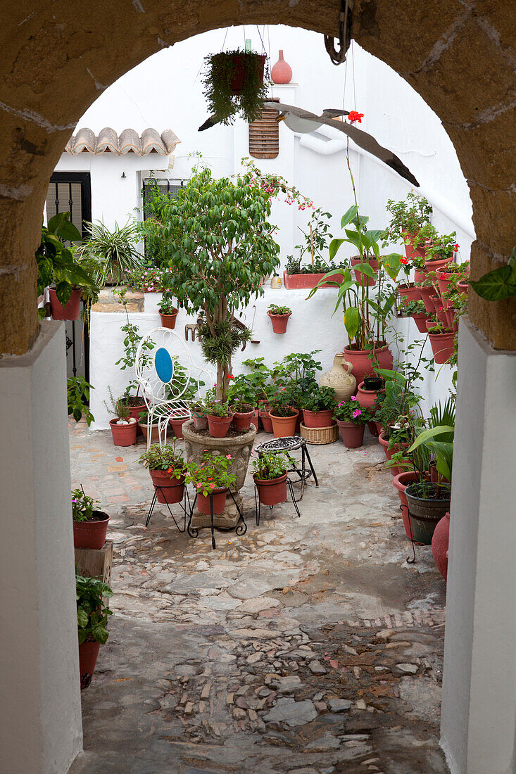 Patio, Innenhof in der Altstadt von Vejer de la Frontera, Costa de la Luz, Provinz Cádiz, Andalusien, Spanien, Europa