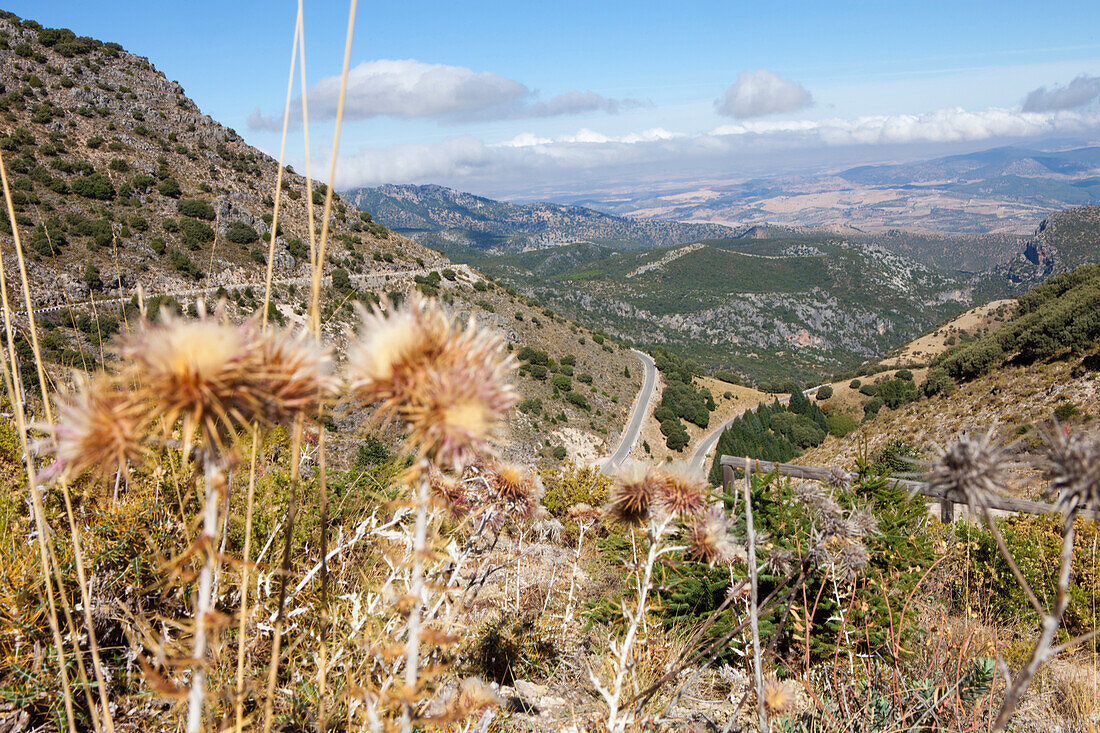 Gebirgsregion im Naturpark Sierra de Grazalema, Provinz Cádiz, Andalusien, Spanien, Europa