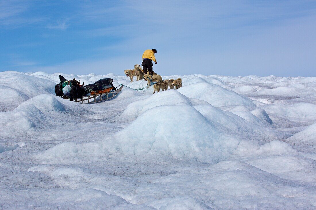 Dog sled on an ice sheet, East Greenland, Greenland