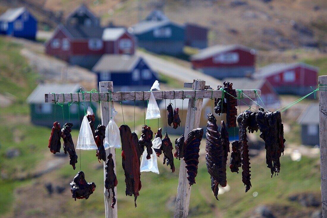 Zum Trocknen aufgehängtes Robbenfleisch, Tasiilaq, Ostgrönland, Grönland