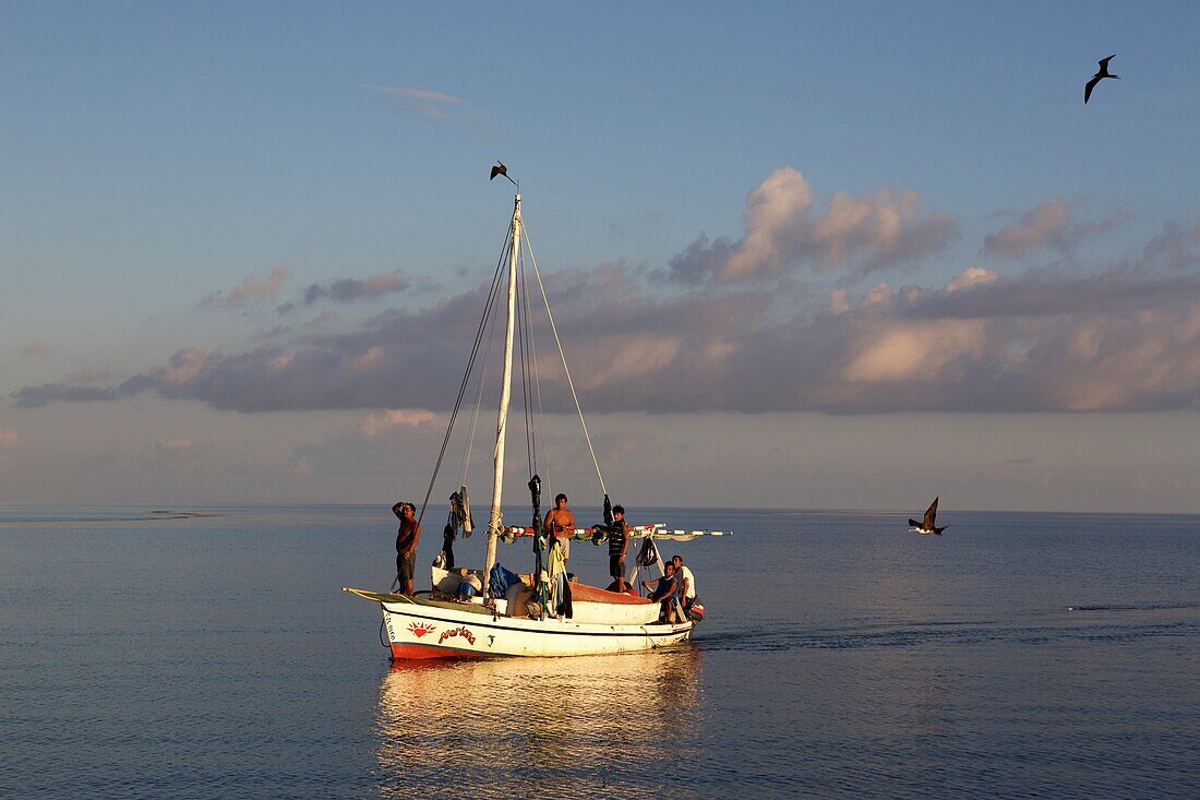 Fischerboot mit Fregattvögeln, Fregata im Abendlicht, Belize, Mittelamerika