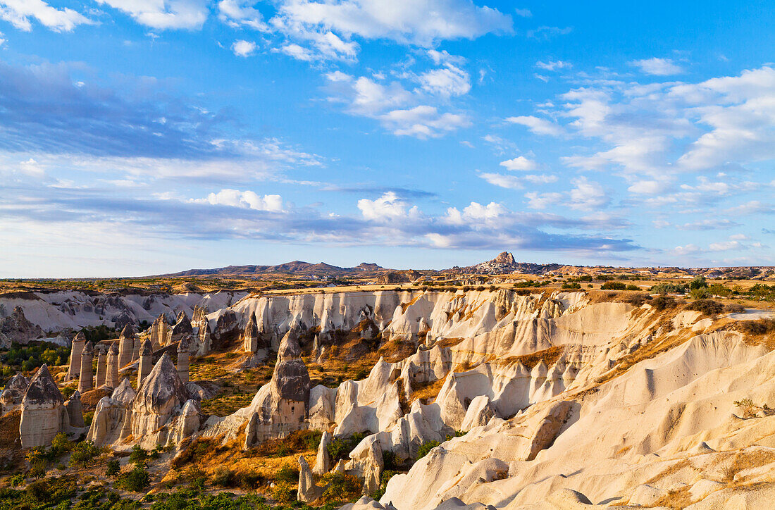 'Fairy chimneys in the rugged, barren landscape of Honey Valley; Cappadocia, Turkey'