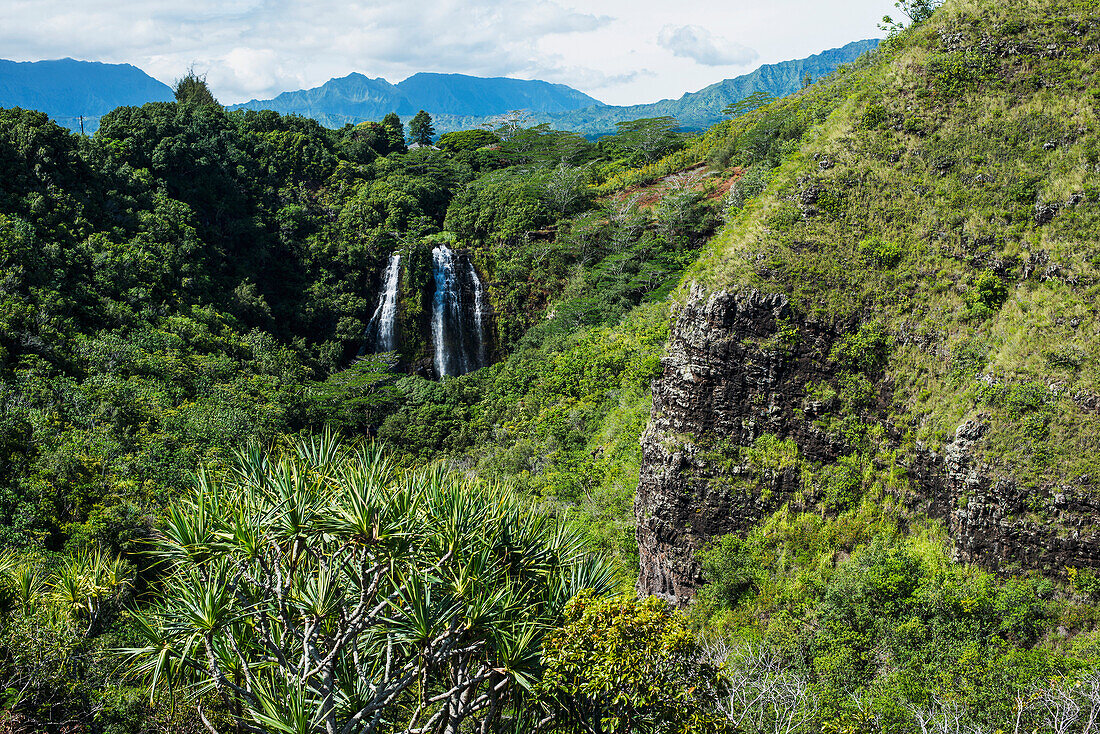 'Numerous waterfalls tumble down the sides of a cliff; Kauai, Hawaii, United States of America'