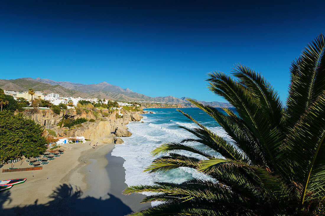 'Palm tree and waves coming into shore along the coastline; Nerja, Malaga, Costa del Sol, Andalusia, Spain'