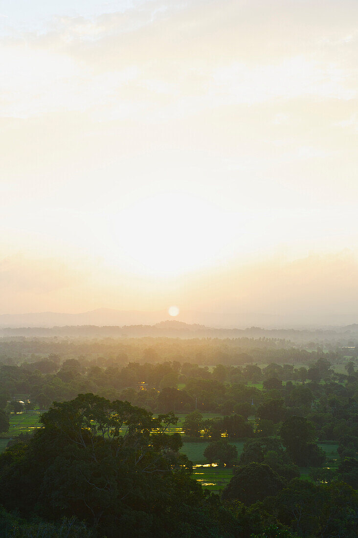 'A lush landscape of trees with mountains in the distance at sunset; Ulpotha, Embogama, Sri Lanka'