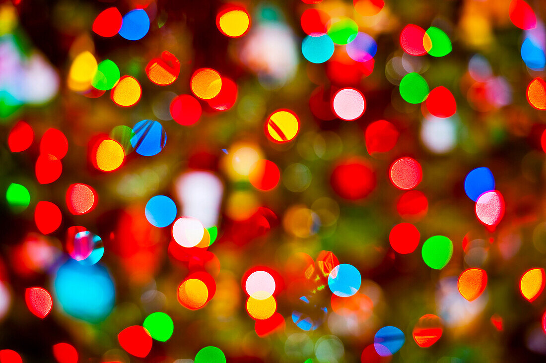 Abstract view of blurred Christmas lights.