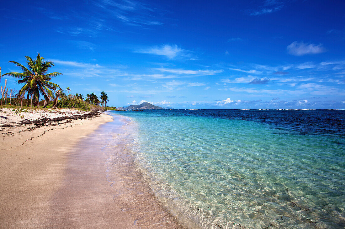 'Palm trees and sand line the coastline of a caribbean island; Nesbit Beach, Nevis'