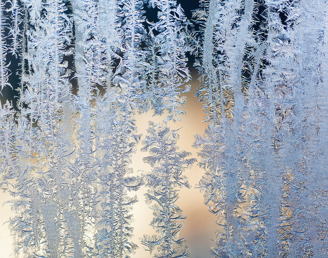 'Frost patterns are captured on a frosted window pane in the early morning on Vancouver Island; British Columbia, Canada'