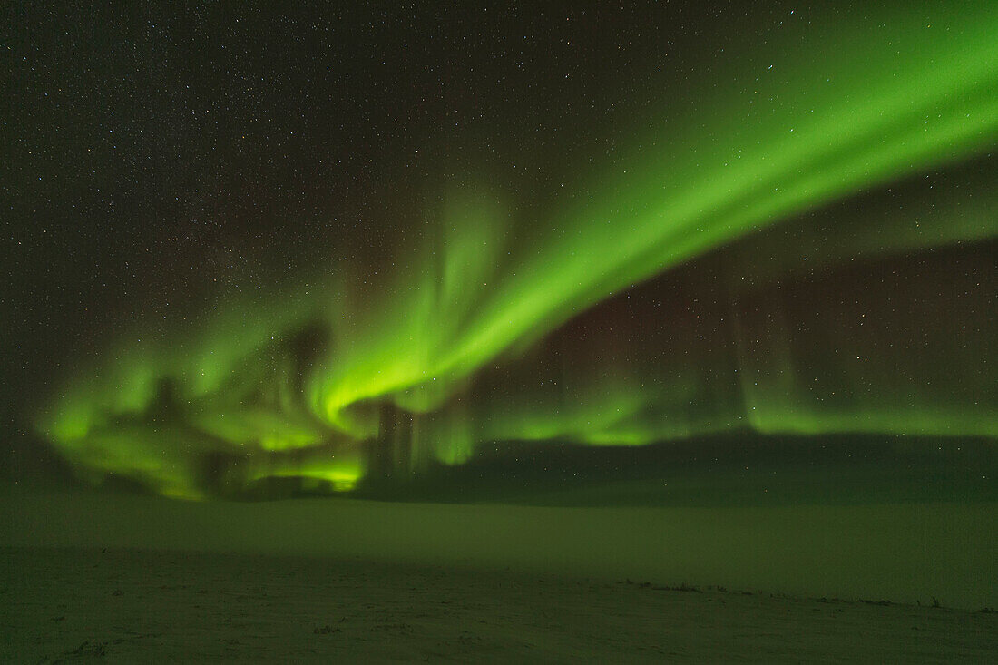 'Northern Lights (Aurora Borealis); Old Crow, Yukon, Canada'
