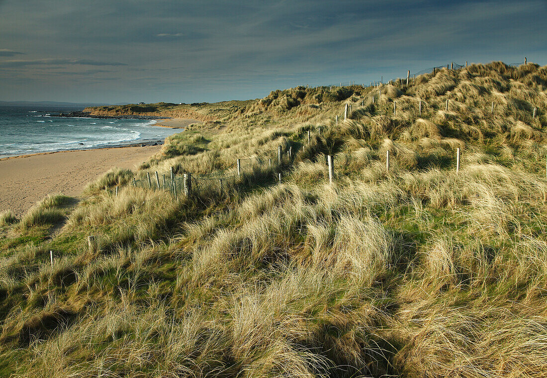 'Fanore Beach on the Wild Atlantic Way coastal route; County Clare, Ireland'