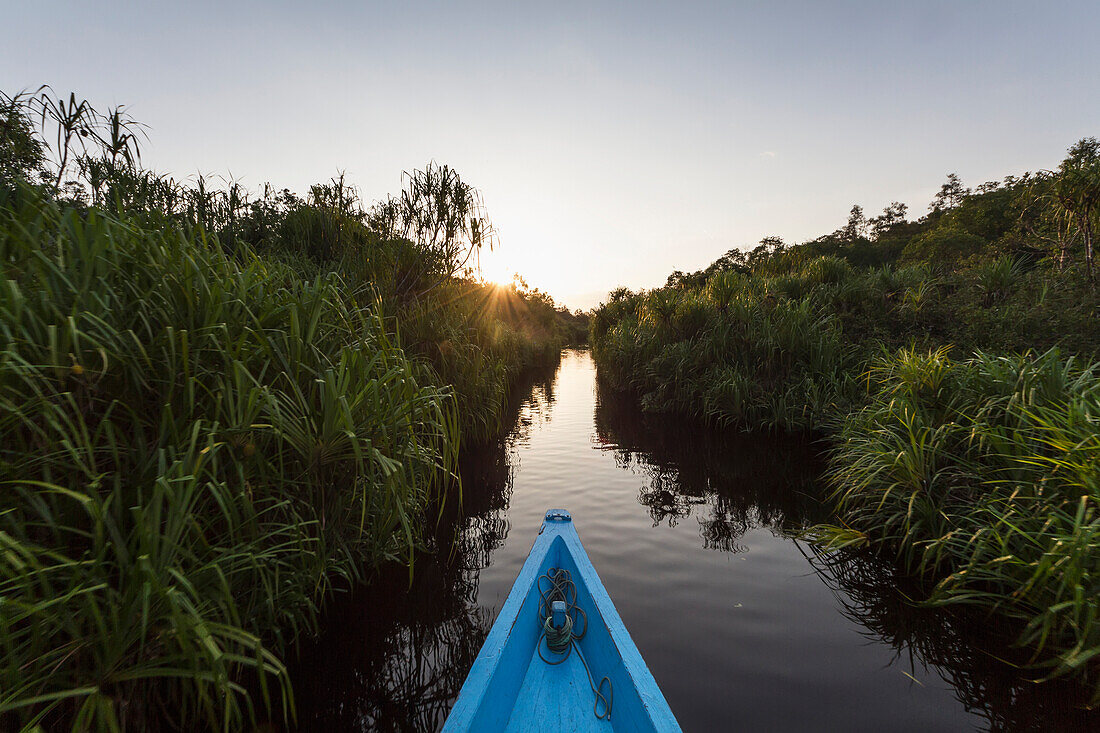 Boat on the Sekonyer River, Tanjung Puting National Park, Central Kalimantan, Borneo, Indonesia