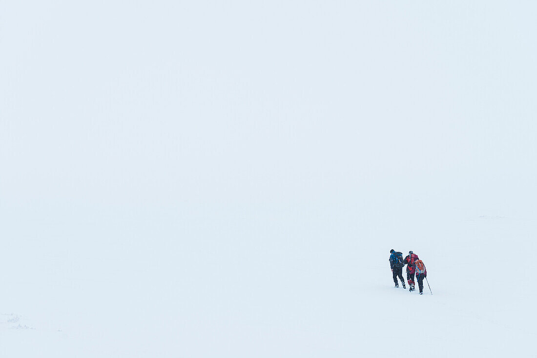 'Three walkers in whiteout conditions on snowy, winter walk towards top of Geal Charn, near Laggan; Scotland'