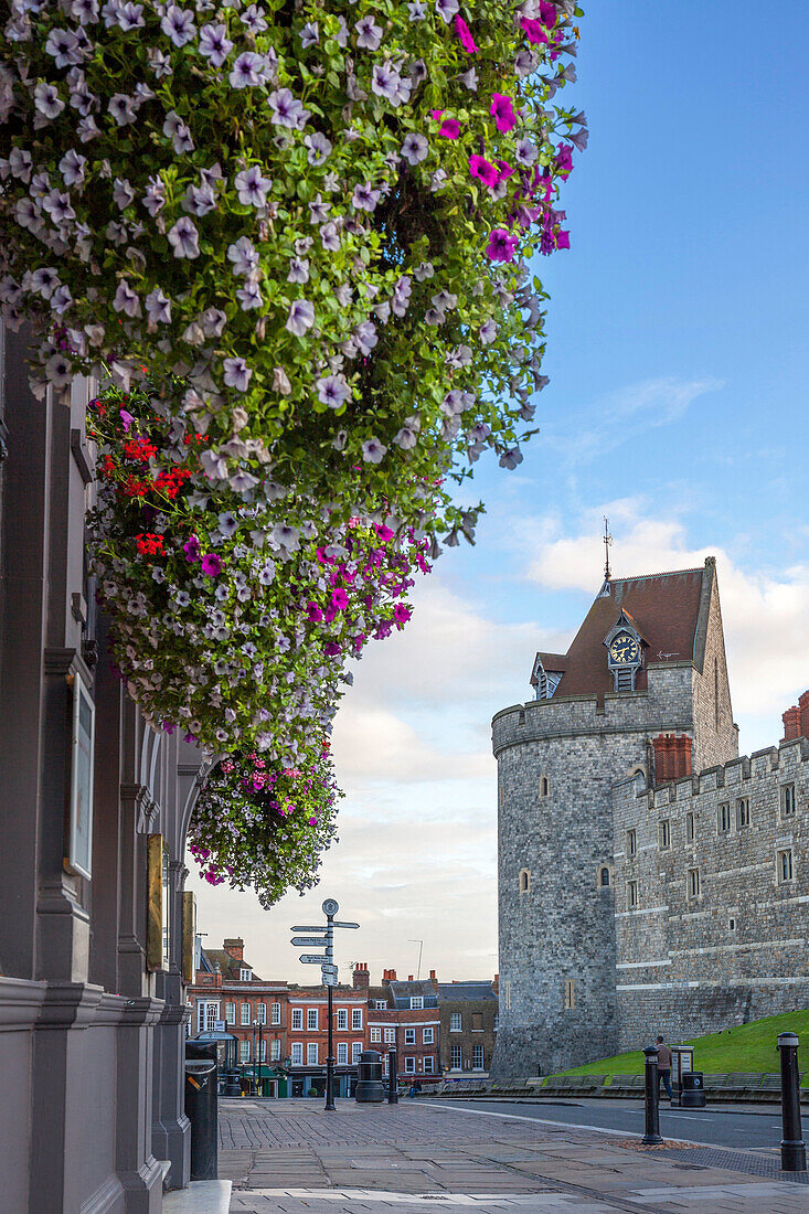 Hanging flowers in Windsor high street with Windsor Castle in the background, Windsor, Berkshire, England, United Kingdom, Europe