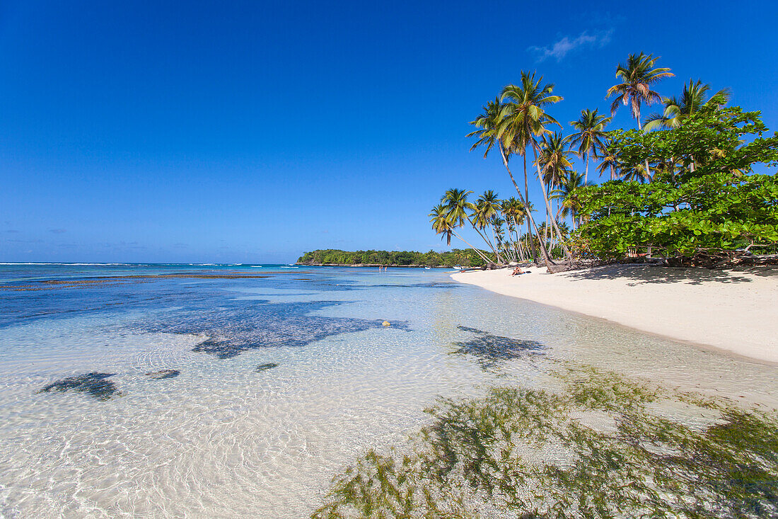 La Playita beach, Las Galleras, Samana Peninsula, Dominican Republic, West Indies, Caribbean, Central America