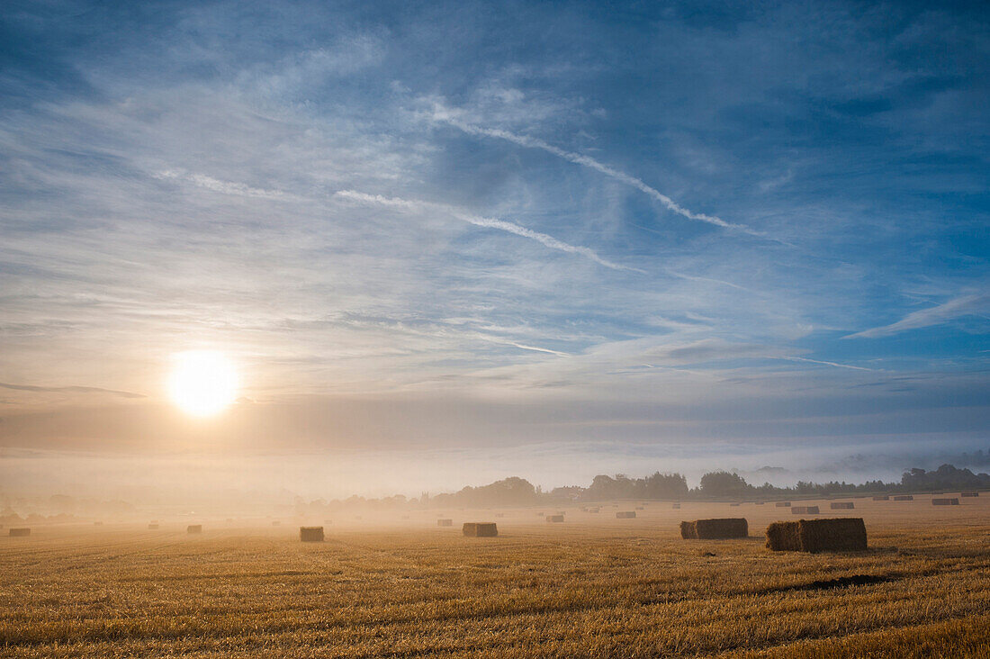 Misty sunrise at Longborough, a village in The Cotswolds, Gloucestershire, England, United Kingdom, Europe