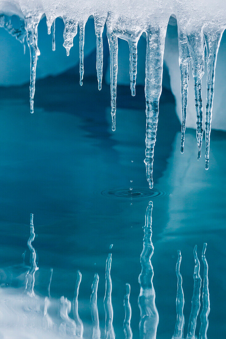 Icicles mirrored in calm water from ice floating in the Neumayer Channel near Wiencke Island, Antarctica, Polar Regions