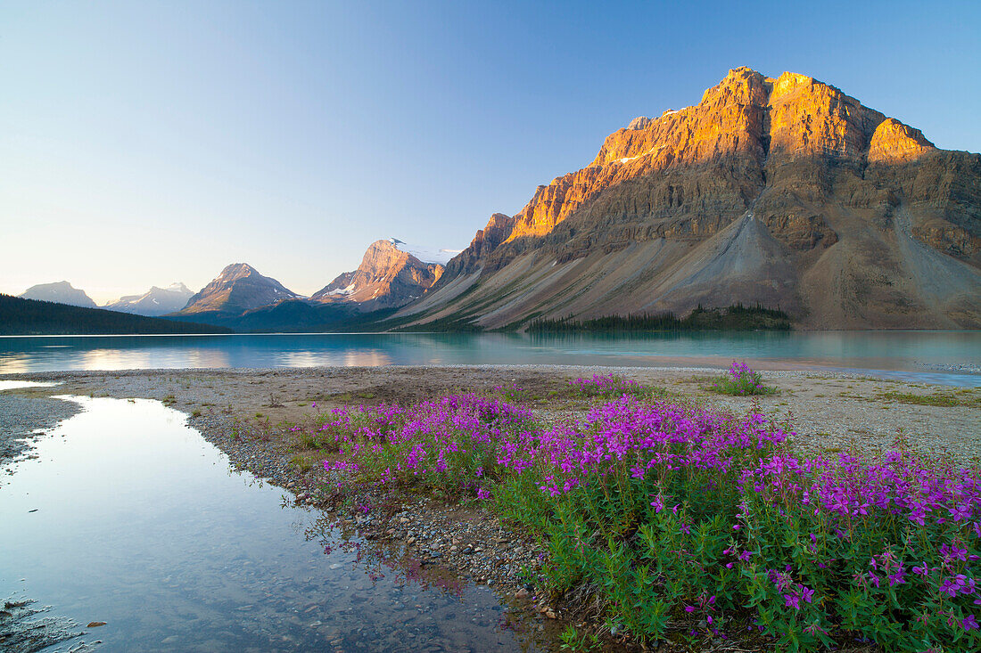 Bow Lake at sunrise, Banff National Park, UNESCO World Heritage Site, Alberta, Rocky Mountains, Canada, North America