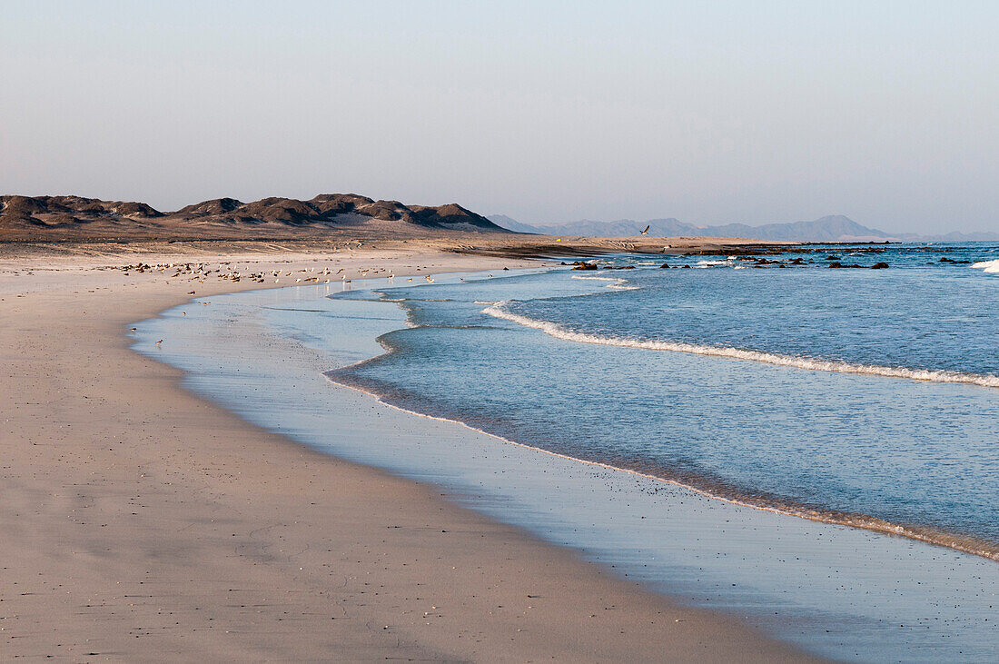 Masirah island, Oman, Middle East