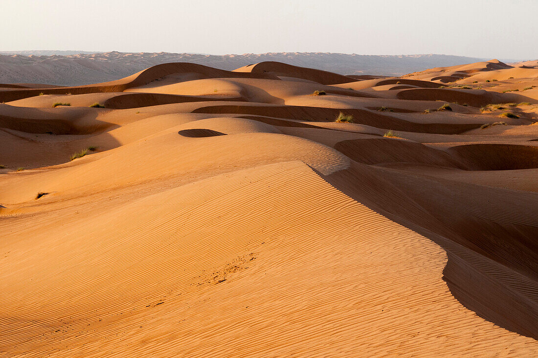 Wahiba Sands desert, Oman, Middle East