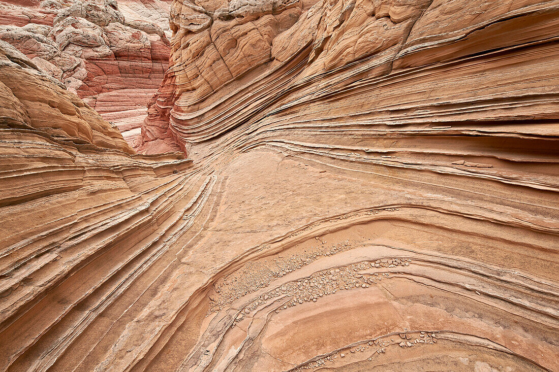 Layers of tan sandstone, White Pocket, Vermilion Cliffs National Monument, Arizona, United States of America, North America