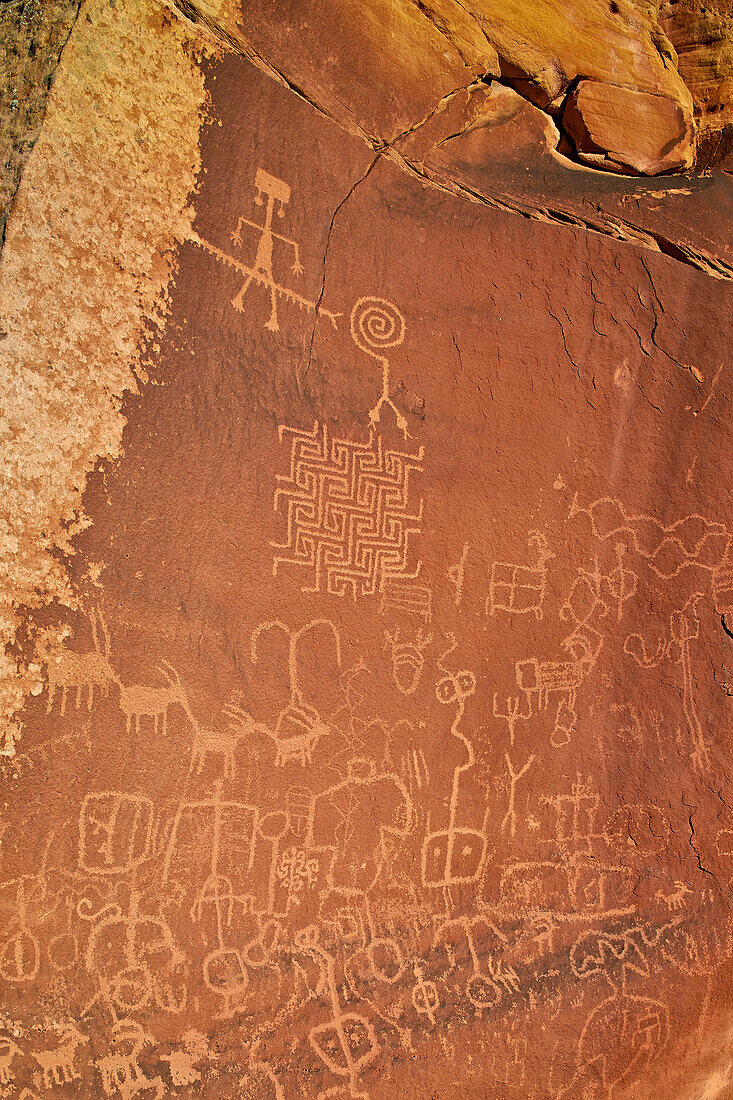 Petroglyphs, Vermilion Cliffs National Monument, Arizona, United States of America, North America