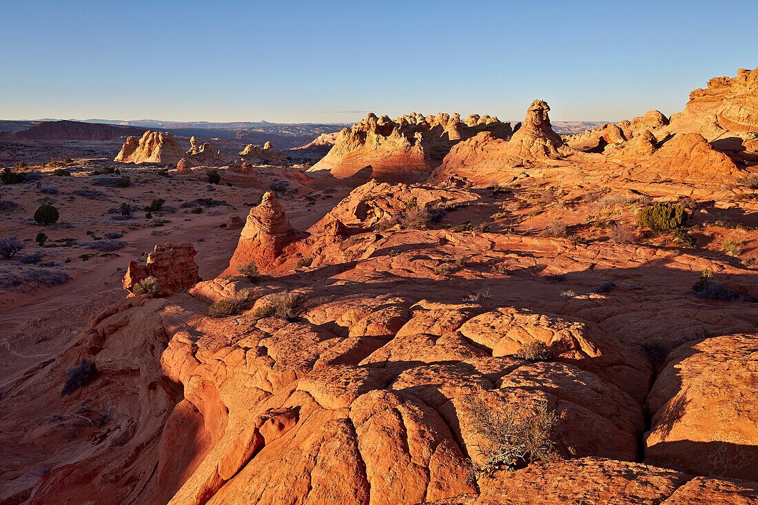 Sandstone formations, Coyote Buttes Wilderness, Vermilion Cliffs National Monument, Arizona, United States of America, North America