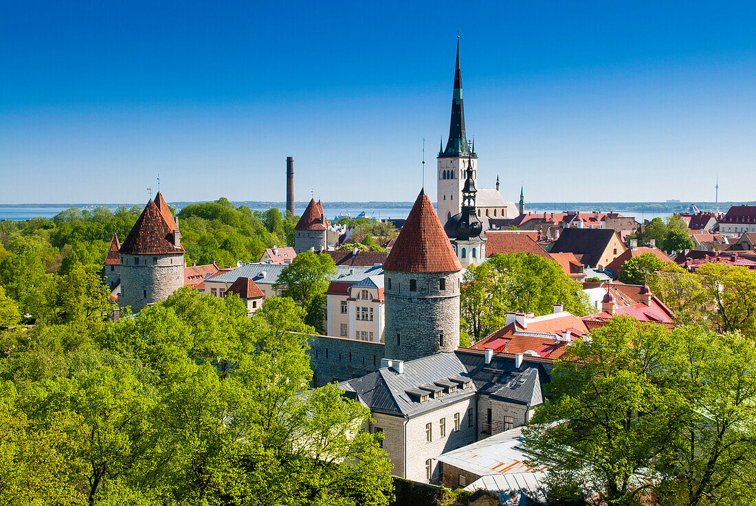 Medieval town walls and spire of St. Olav's church, Toompea hill, UNESCO World Heritage Site, Estonia, Baltic States, Europe