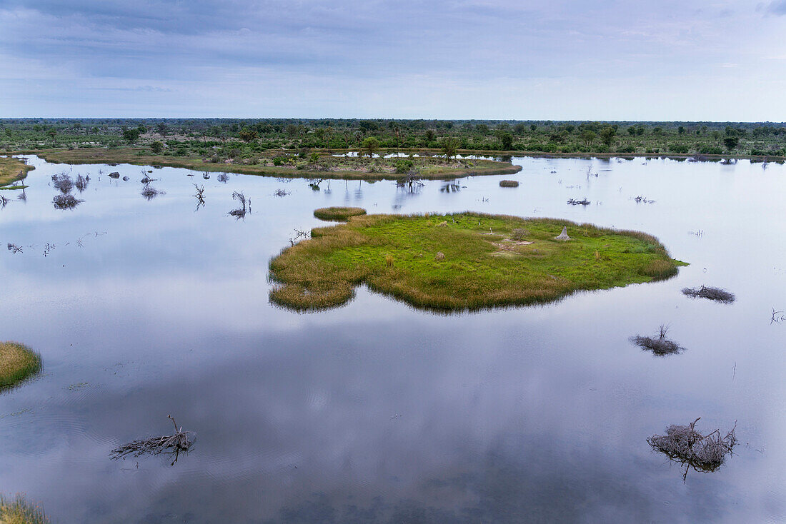 Okavango Delta, Botswana, Africa