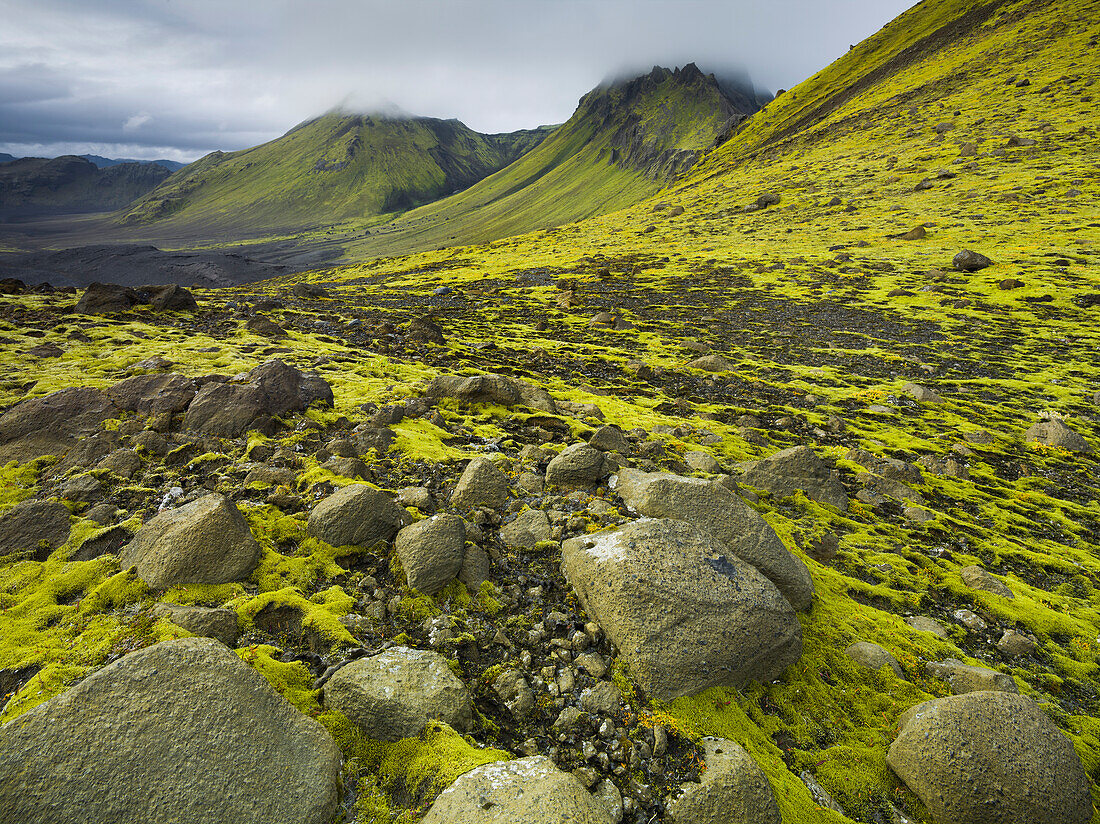 Berglandschaft, Storkonufell, Moos, Fjallabak, Südisland, Island