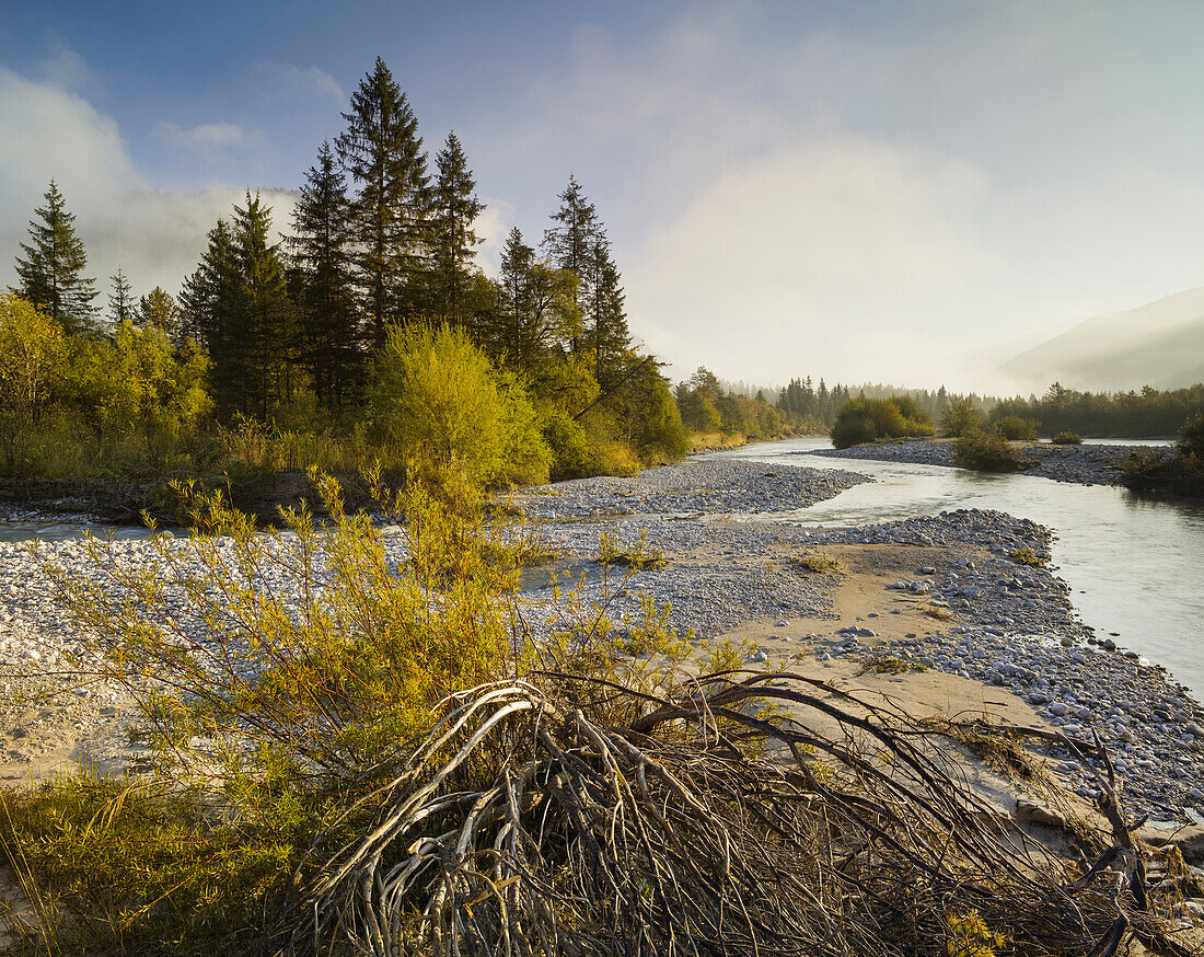 Banks of the river Isar, Isar valley, Upper Bavaria, Bavaria, Germany