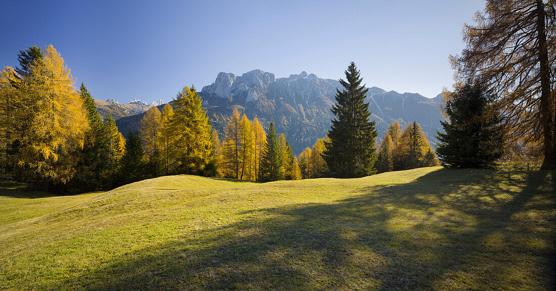 Sas da le Doudesh with larch trees, Val di Fassa, Alto Adige, South Tyrol, Dolomites, Italy
