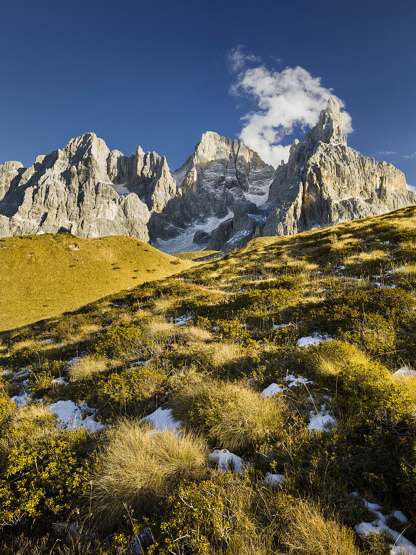 Cima dei Bureloni (3130m), Cima della Vezzana (3192m), Cimon della Pala (3184m), Passo Rolle, Trentino - Alto Adige, Dolomiten, Italien