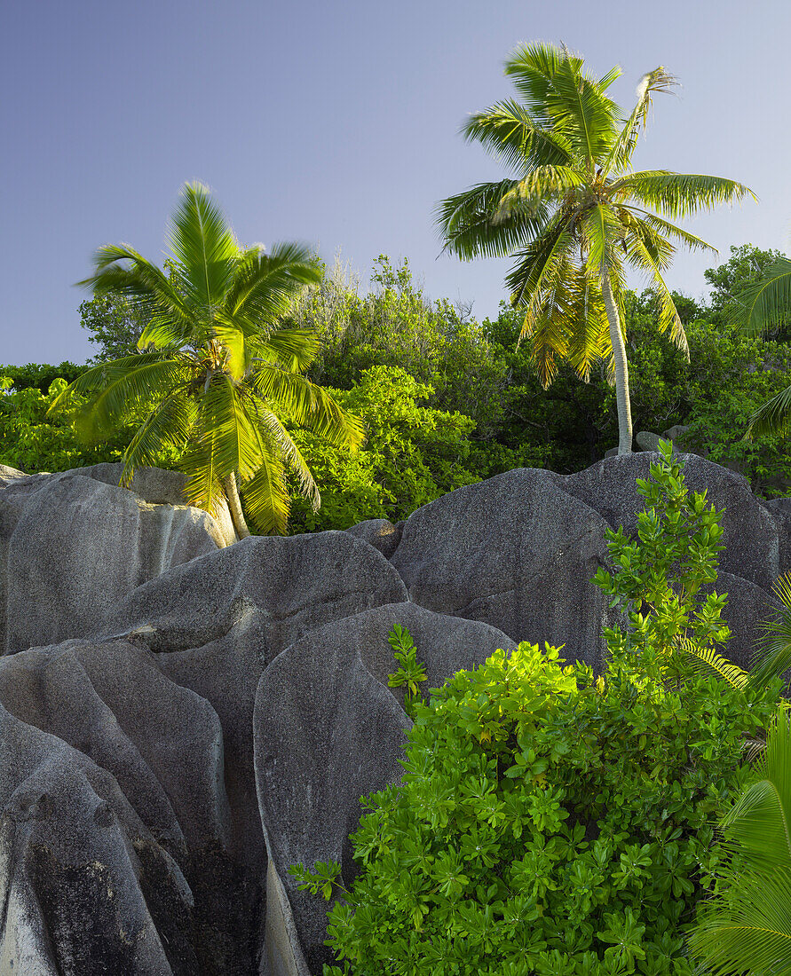 Anse Source d'Argent, La Digue Island, Seychellen