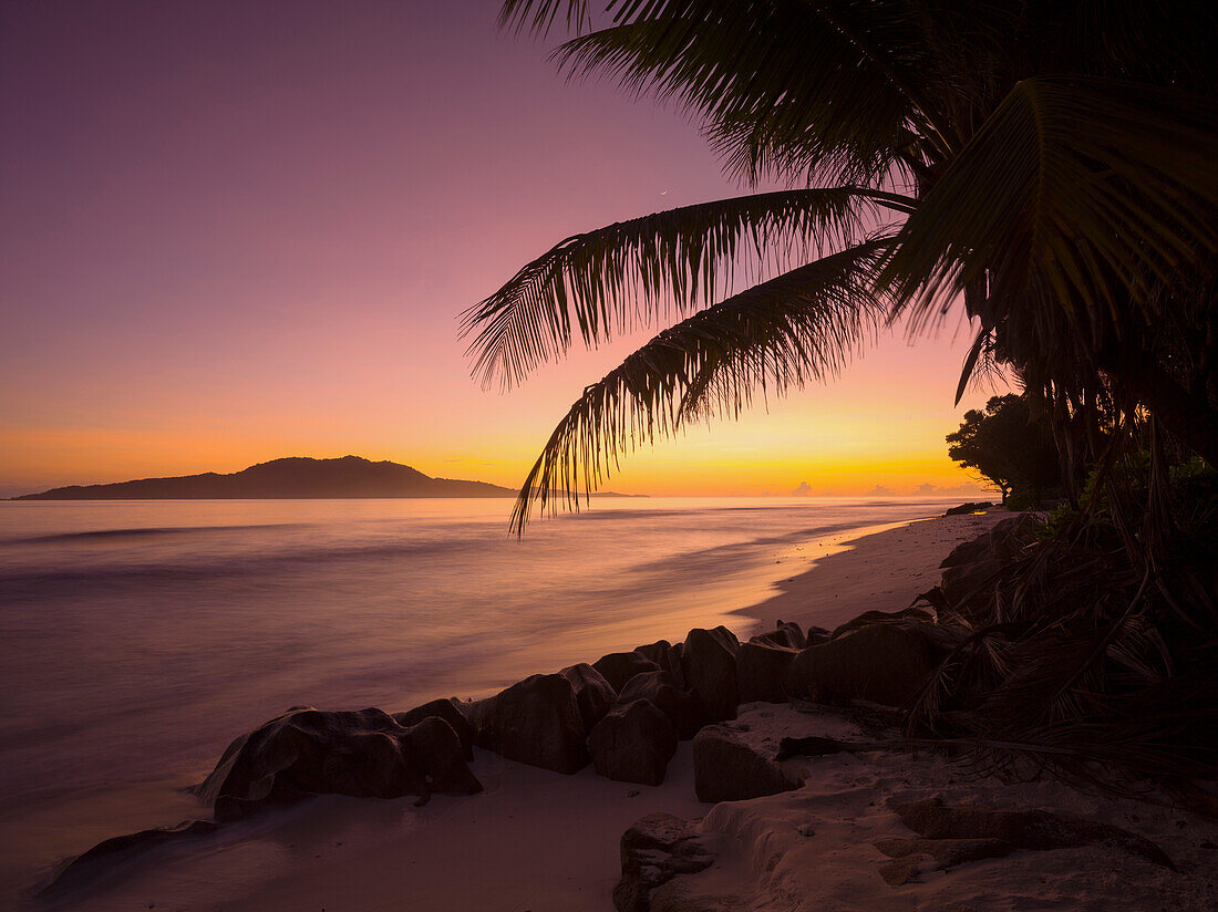 Palmenstrand im Abendlicht, Anse Gaulettes, La Digue Island, Seychellen