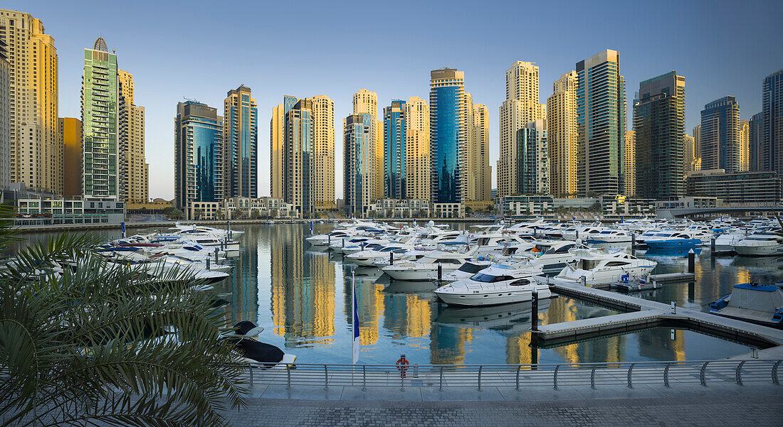 Yachts in the harbour at Dubai Marina, Skyscrapers , Dubai, Unites Arab Emirates, UAE