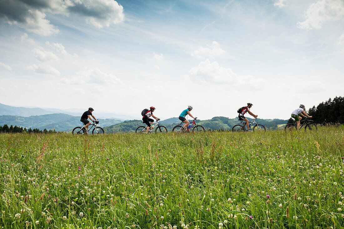 Mountainbiker bei Freiamt. nahe Freiburg im Breisgau, Schwarzwald, Baden-Württemberg, Deutschland