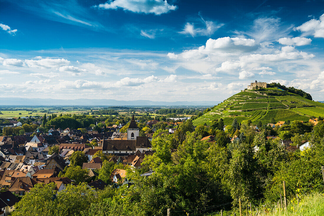 Burgruine und Weinberge, Staufen im Breisgau, Schwarzwald, Baden-Württemberg, Deutschland