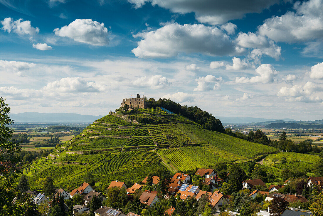 Castle ruins and vineyards, Staufen im Breisgau, Black Forest, Baden-Wuerttemberg, Germany